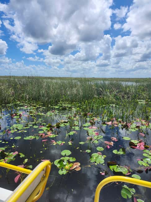 Everglades Eco Airboat Small-Group Tour & 2 Private Islands - Open-Air Airboat Ride: Elevated Seats, Real Habitat, and Quiet Fun