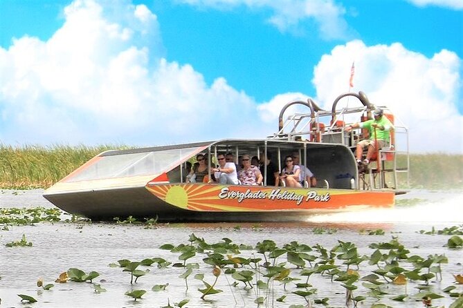 Everglades Holiday Park Airboat Tours & Rides - Wildlife spotting on the River of Grass: how to think about sightings