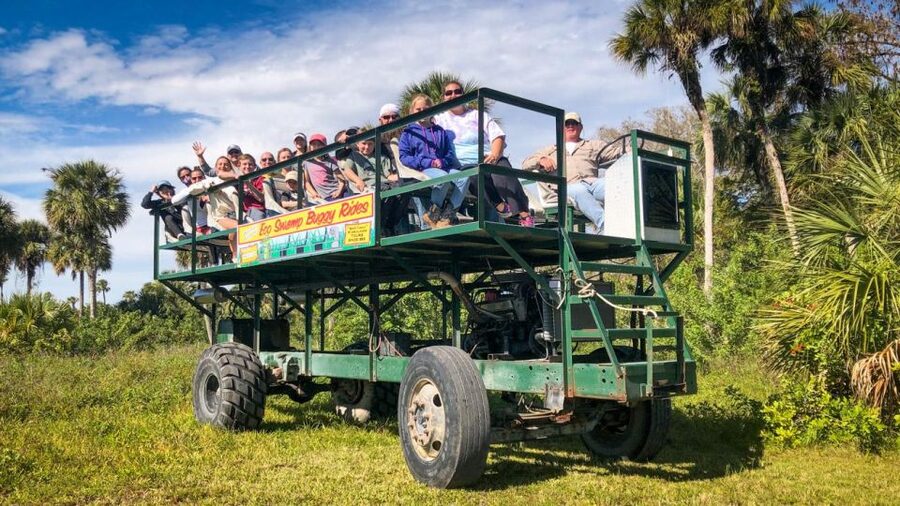 Everglades: Mangrove Maze Airboat Tour and Boardwalk - The airboat ride (50 minutes): headsets on, eyes up