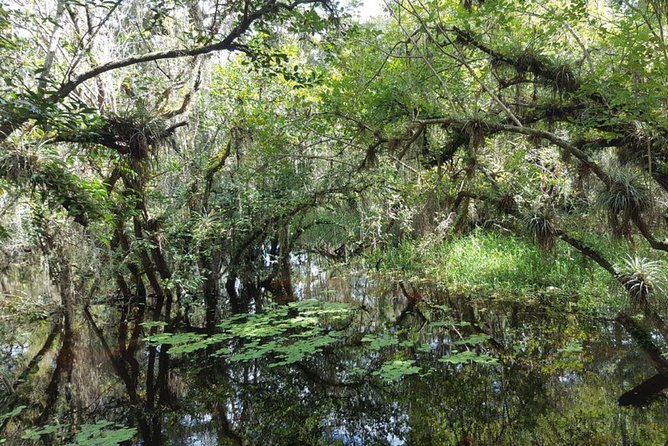 Everglades National Park Biologist Led Adventure: Cruise, Hike + Airboat - Stop 1: Airboat out on the River of Grass, plus Native tree island village