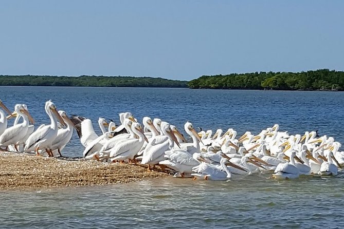 Everglades National Park Biologist Led Adventure: Cruise, Hike + Airboat - Stop 2 and the Miccosukee stretch: another airboat, a remote village, more wildlife odds