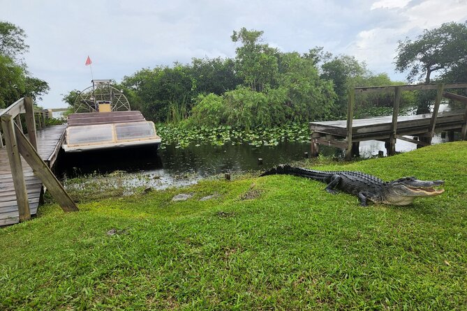 Everglades National Park Biologist Led Adventure: Cruise, Hike + Airboat - Big Cypress National Preserve: the walk you will remember
