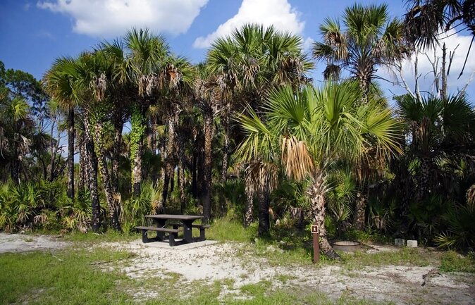 Everglades National Park Biologist Led Adventure: Cruise, Hike + Airboat - The van ride: comfort matters more than you think