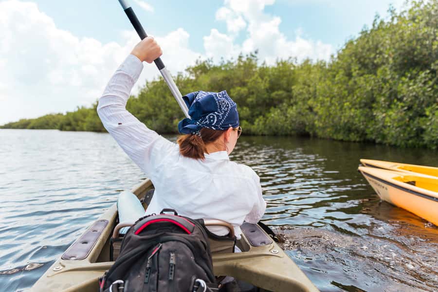 Everglades National Park: Mangrove Tunnel Kayak Eco-Tour - The 3-hour flow on the water, from pickup to mangrove canopies
