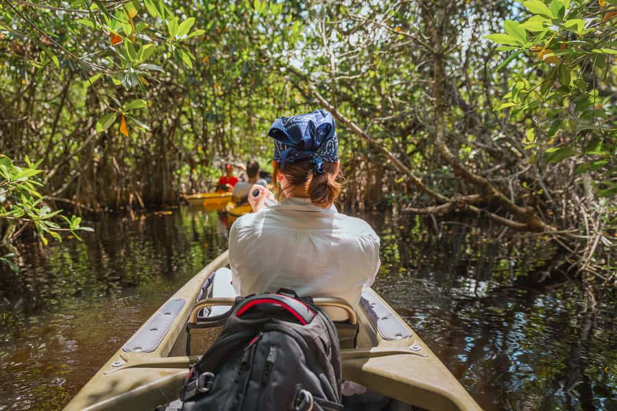 Everglades National Park: Mangrove Tunnel Kayak Eco-Tour - Where you start: 32016 Tamiami Trail E and the gold pickup truck