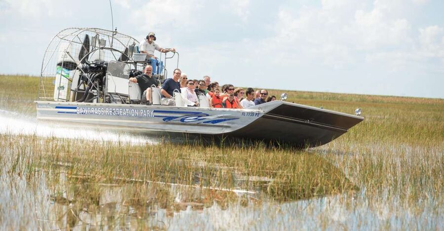 Everglades: Sawgrass Park Day Time Airboat Tour & Exhibits - Wildlife Chances, Photo Stops, and What You Can Expect to See