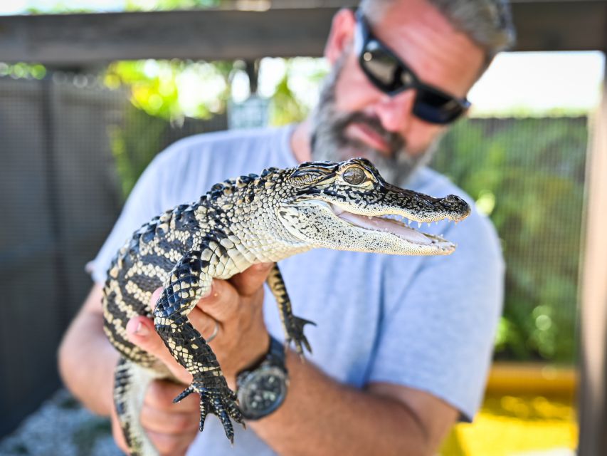 Everglades: Sawgrass Park Day Time Airboat Tour & Exhibits - What the 40-Minute Daytime Airboat Ride Is Really Like
