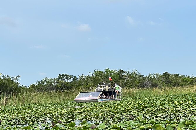 Everglades Small-Group Tour from Miami with Transportation - Price and value: what you’re really paying for