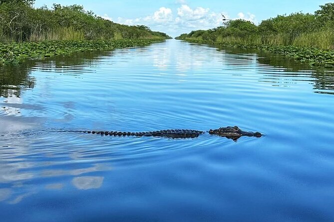 Everglades Small-Group Tour from Miami with Transportation - Who this tour suits best
