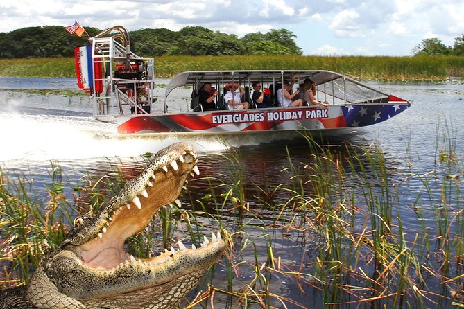 Everglades VIP Airboat Tour with Transportation Included - Spotting wildlife in the River of Grass, and how to boost your odds
