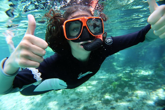 Exclusive Small Group VIP Heated Manatee Snorkel Tour - The snorkel portion: what you do when manatees appear