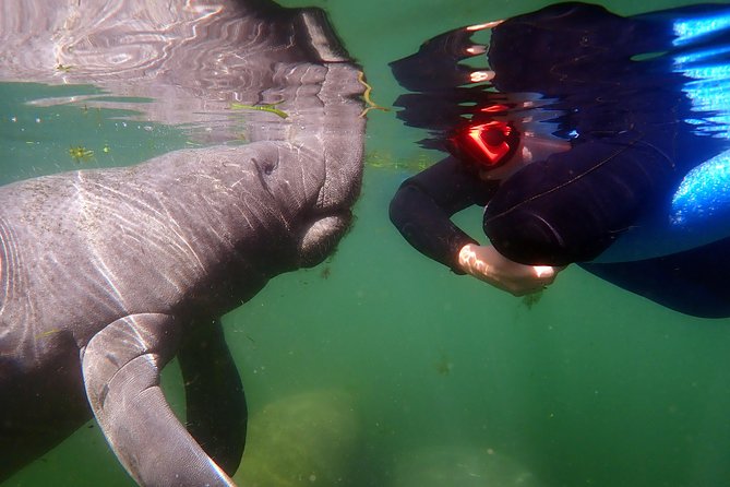 Exclusive Small Group VIP Heated Manatee Snorkel Tour - Gear and inclusions, what you actually pay for