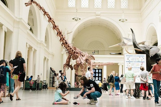 Field Museum of Natural History Admission Tickets - Your Field Museum ticket: value, timing, and what included really means