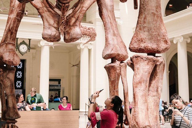 Field Museum of Natural History Admission Tickets - SUE and the dinosaur halls: the fossil centerpiece you should build your day around