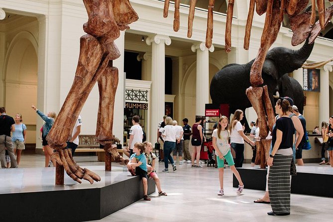 Field Museum of Natural History Admission Tickets - Hall of Gems and the Chinese jade collection in North America