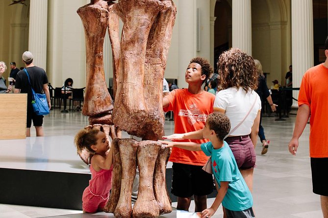 Field Museum of Natural History Admission Tickets - Special exhibits and the 3D movie: deciding what’s worth extra cost