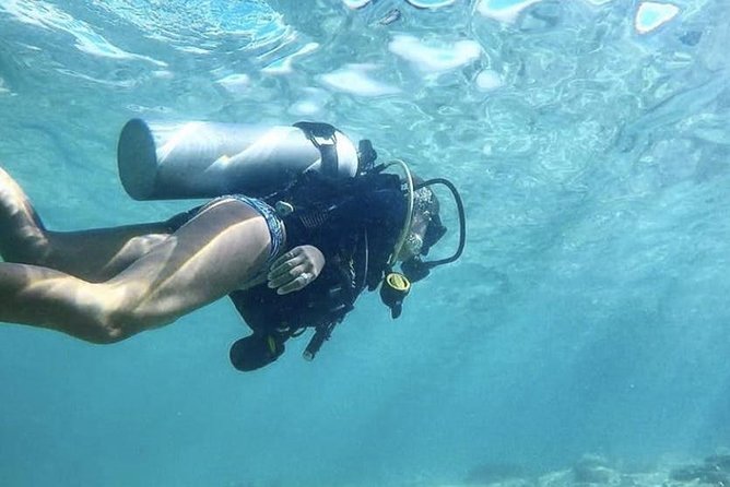 First-Time Scuba Diving in Honolulu + Free Videos - Weather, Water Clarity, and Why Timing Can Matter