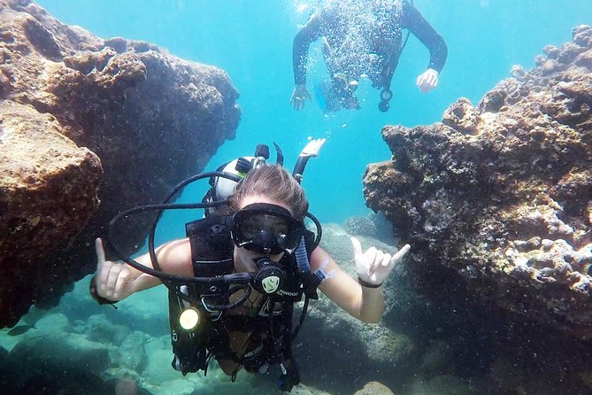 First-Time Scuba Diving in Honolulu + Free Videos - Safety Briefing in Waist-Deep Water, Then Working up to 15 Feet