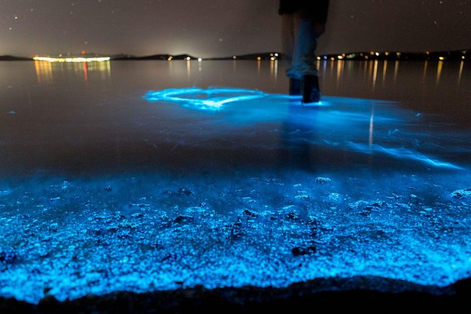 Florida Bioluminescence Kayaking Tour (Titusville) - Key highlights before you go