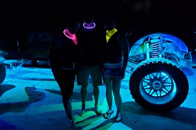 Florida Bioluminescence Kayaking Tour (Titusville) - Wildlife Chances Along Haulover Canal and the Lagoon