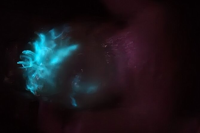 Florida Bioluminescence Kayaking Tour (Titusville) - What You’re Really Paying for: $65 Value Breakdown