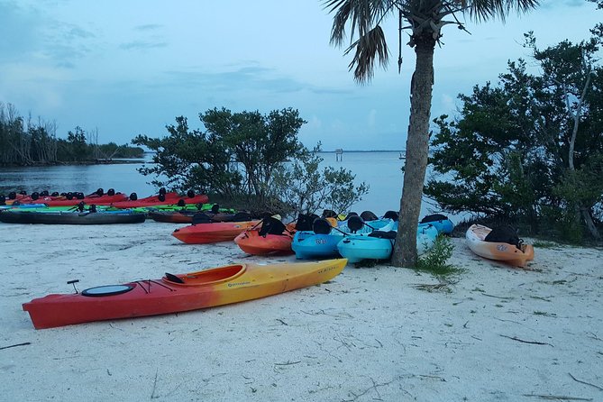 Florida Bioluminescence Kayaking Tour (Titusville) - Who This Tour Fits Best (and Who Might Want a Different Plan)