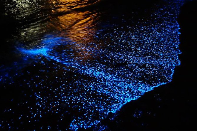 Florida Bioluminescence Kayaking Tour (Titusville) - How It Works in the Dark: Gear, PFDs, and Safety First