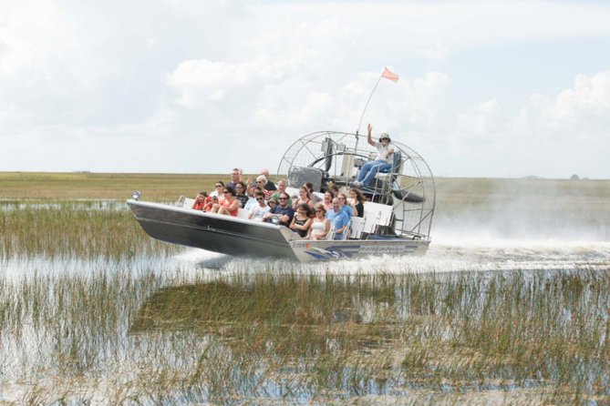 Florida Everglades Airboat Adventure and Wildlife Encounter - The 40-minute airboat ride: speed, scanning, and a lot of wind