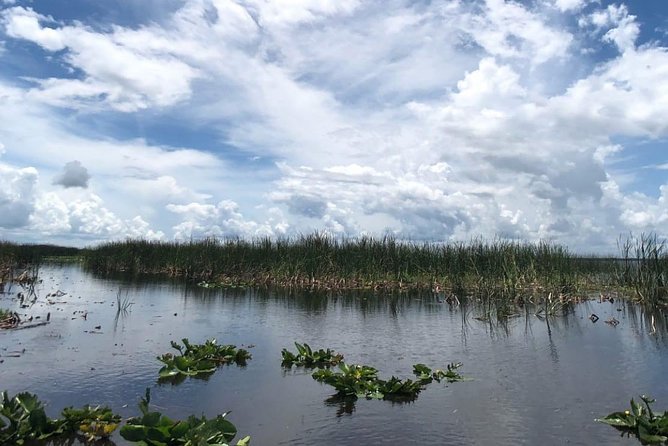 Florida Everglades Airboat Tour and Wild Florida Admission with Optional Lunch - How Long Should You Book, 30 Minutes or 60?