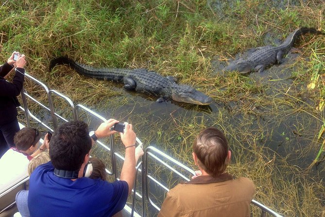 Florida Everglades Airboat Tour and Wild Florida Admission with Optional Lunch - What to Pack So the Wind Does Not Ruin Your Day