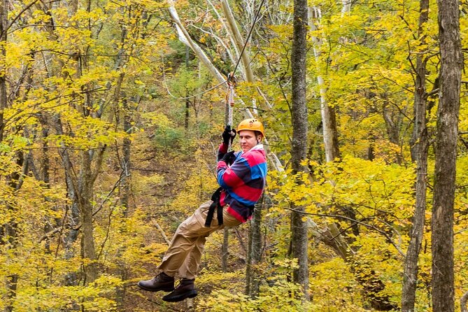 Fontanel Zipline Forest Adventure at Nashville North - The course rhythm: walking uphill, then flying between platforms