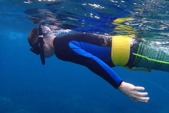 Four Winds Molokini Snorkeling Tour from Maalaea Harbor - Molokini Crater from Maalaea, With Clear-Water Expectations