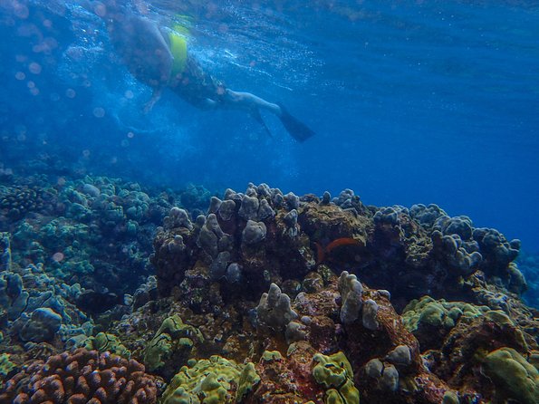 Four Winds Molokini Snorkeling Tour from Maalaea Harbor - Getting In the Water: Snorkel Instruction and the Included Gear Setup