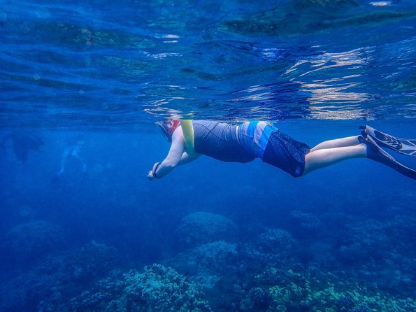 Four Winds Molokini Snorkeling Tour from Maalaea Harbor - Glass-Bottom Viewing for Families and Non-Swimmers