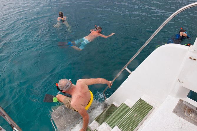 Four Winds Molokini Snorkeling Tour from Maalaea Harbor - Crew, Comfort, and Safety That Feels Practical