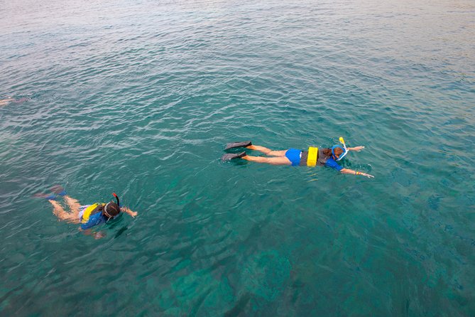 Four Winds Molokini Snorkeling Tour from Maalaea Harbor - Practical Tips for Your Maui Morning at Maalaea Harbor