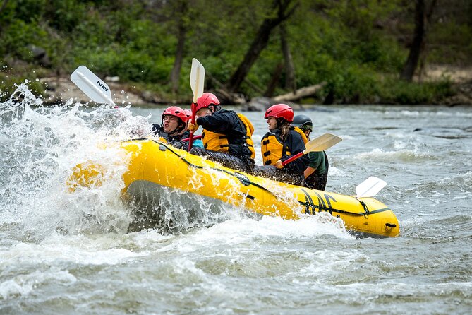 French Broad Gorge Whitewater Rafting Trip - French Broad Gorge (Section 9, FB9) in Asheville: what the river run is really like