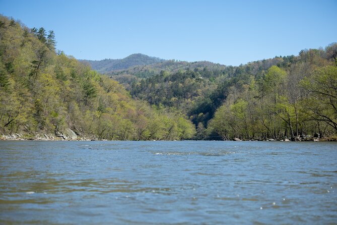 French Broad Gorge Whitewater Rafting Trip - Barnard River Park to Pisgah National Forest: the rapids and the river scenery