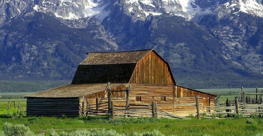 From Jackson: Half-Day Grand Teton National Park Tour - Key Highlights to Know Before You Go