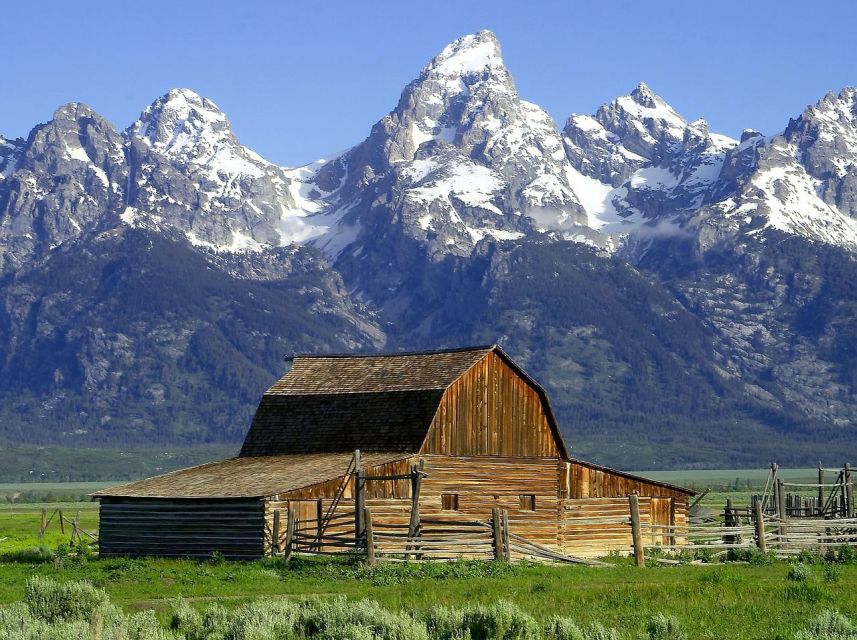 From Jackson: Half-Day Grand Teton National Park Tour - A Half-Day Grand Teton Tour That Runs a Tight, Smart Route