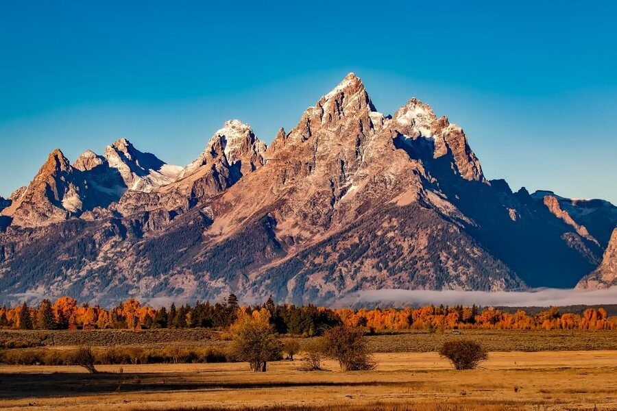 From Jackson: Half-Day Grand Teton National Park Tour - Gros Ventre River, Kelly, and Mormon Row: Where Wildlife Watching Gets Real