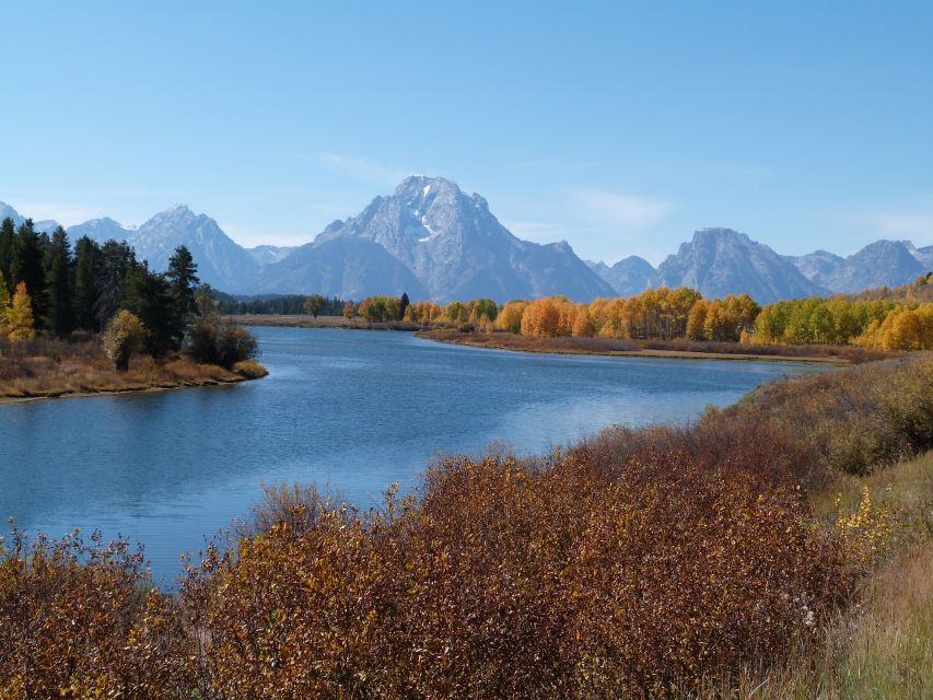 From Jackson: Half-Day Grand Teton National Park Tour - What’s Included, What’s Not, and How to Budget