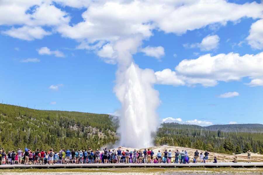 From Jackson: Yellowstone Day Tour Including Entrance Fee - Key Things I’d Actually Plan Around