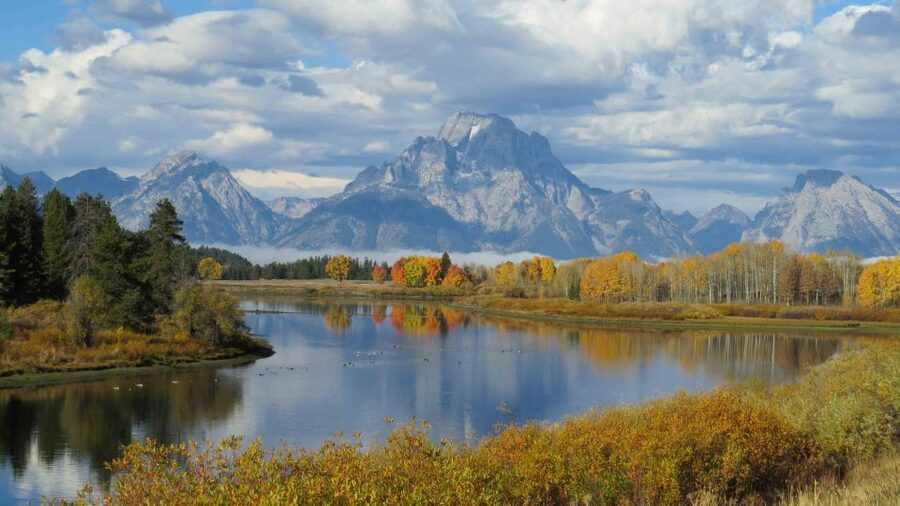 From Jackson: Yellowstone Day Tour Including Entrance Fee - Fountain Paint Pots: Small Looks That Teach Big Lessons