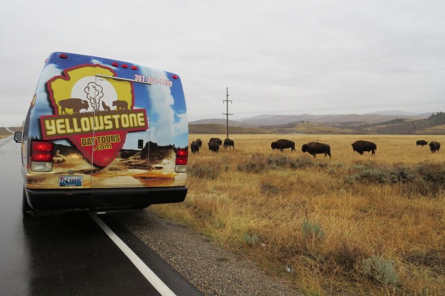 From Jackson: Yellowstone Day Tour Including Entrance Fee - Lunch in the Middle of the Day: How to Pace Yourself