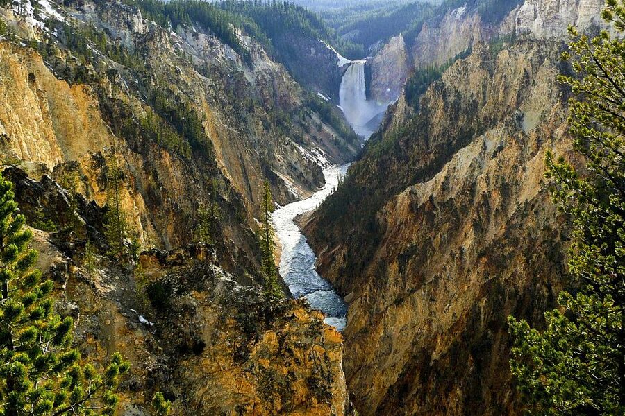 From Jackson: Yellowstone Day Tour Including Entrance Fee - Guide Quality Makes or Breaks a Long Day