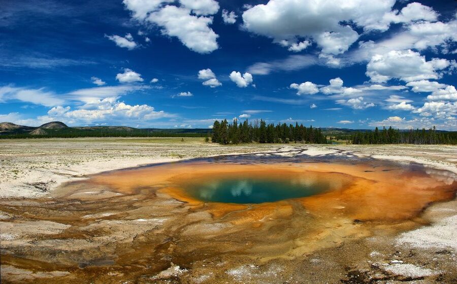 From Jackson: Yellowstone National Park Day Trip with Lunch - Key highlights and why they matter