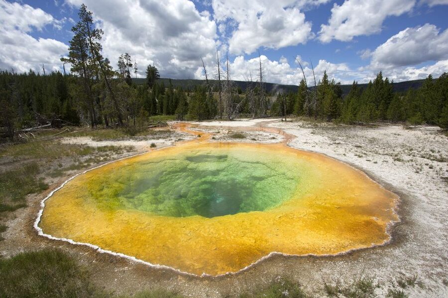 From Jackson: Yellowstone National Park Day Trip with Lunch - Air-conditioned transport, small groups, and guides who keep you on track