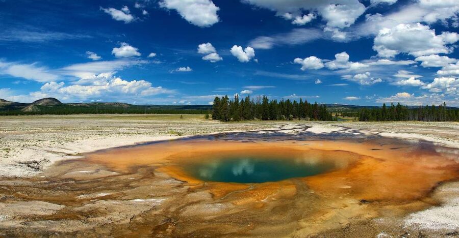 From Jackson: Yellowstone National Park Day Trip with Lunch - From Jackson to Yellowstone, with Grand Teton as the warm-up