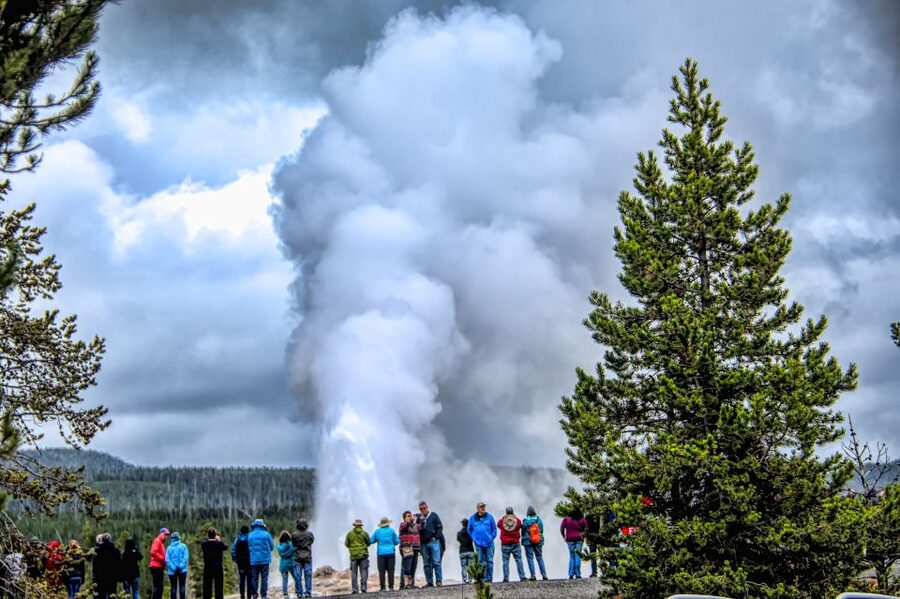 From Jackson: Yellowstone National Park Day Trip with Lunch - Hayden Valley and Lake Yellowstone, where wildlife spotting becomes the main event